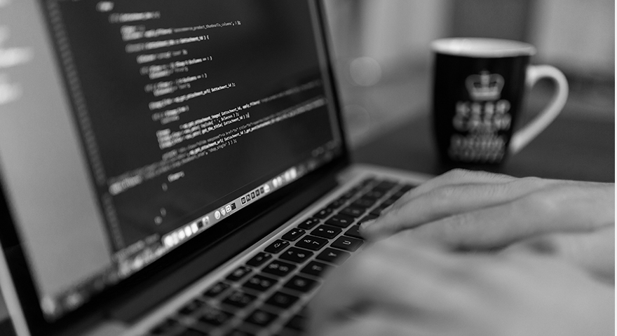 Programmers